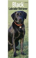 Black Labrador Retriever Slim Calendar 2018 (Slim Standard)