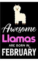 Awesome Llamas Are Born in February