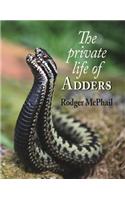 The Private Life of Adders