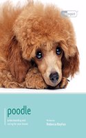 POODLE