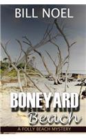 Boneyard Beach: A Folly Beach Mystery(English)