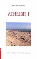 Athribis I. General Site Survey 2003-2007
