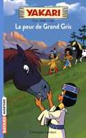 Yakari 3/La peur de Grand Gris