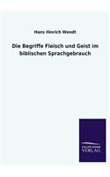 Begriffe Fleisch Und Geist Im Biblischen Sprachgebrauch