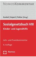 Sozialgesetzbuch VIII