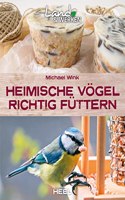 Heimische Vogel richtig futtern