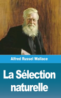 Sélection naturelle