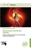 Glutamate Synthase (Nadh)