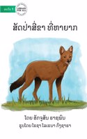Endangered Animals - ສັດປ່າມີສີ່ຂາ ທີ່ຫາຍາກ
