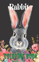 Rabbit Coloring Book