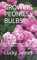 Growing Peonies Bulbs