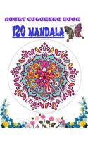 Adult Coloring Book 120 mandala