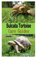 Sulcata Tortoise Care Guides: The super guides on how to care for your sulcata tortoise