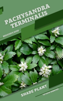 Pachysandra terminalis