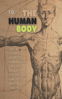 Human Body