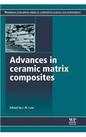 Advances in Ceramic Matrix Composites