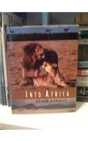 Into Africa