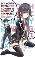 My Youth Romantic Comedy Is Wrong, as I Expected, Vol. 1 (Light Novel)