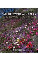 Wildflower Wonders
