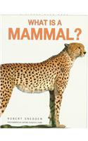 What Is a Mammal?