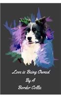 Love is Being Owned By a Border Collie