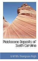 Pleistocene Deposits of Suoth Carolina