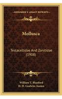 Mollusca