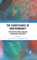 The Significance of Indeterminacy