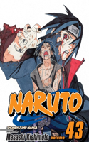 Naruto, Vol. 43, 43