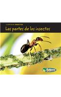 Las Partes de Los Insectos: (Comparar Insectos)