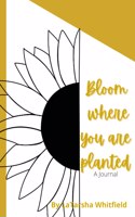 Bloom Where You Are Planted