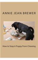 How to Stop A Puppy From Chewing: (English)