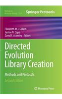 Directed Evolution Library Creation