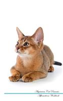 Abyssinian Cat Affirmations Workbook Abyssinian Cat Presents: Positive and Loving Affirmations Workbook. Includes: Mentoring Questions, Guidance, Supporting You.