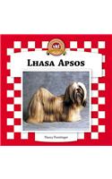 Lhasa Apsos