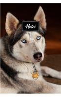Siberian Husky Huskies Dog Pup Puppy Doggie Notebook Bullet Journal Diary Composition Book Notepad - Just Lying Around