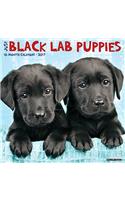 Just Black Lab Puppies 2017 Wall Calendar