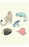 Hand Drawn Tropical Animals - Blank Lined Notebook