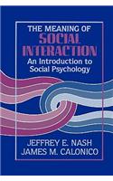 The Meaning of Social Interaction