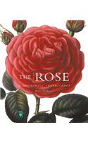 The Rose