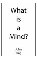 What is a Mind?