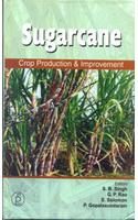 Sugarcane- Crop Production & Improvement