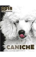 Caniche 2018 Calendrier (Edition France)