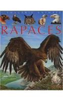 Rapaces