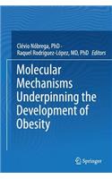 Molecular Mechanisms Underpinning the Development of Obesity