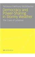 Democratisation and Power-Sharing in Stormy Weather