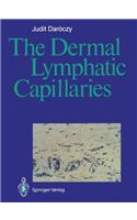 Dermal Lymphatic Capillaries