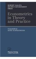 Econometrics in Theory and Practice