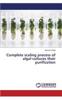 Complete scaling process of algal cultures their purification