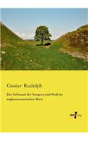 Gebrauch der Tempora und Modi im anglonormannischen Horn